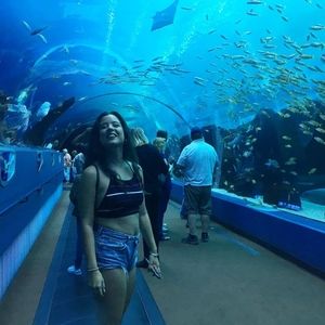 Meet your Posher, Britni